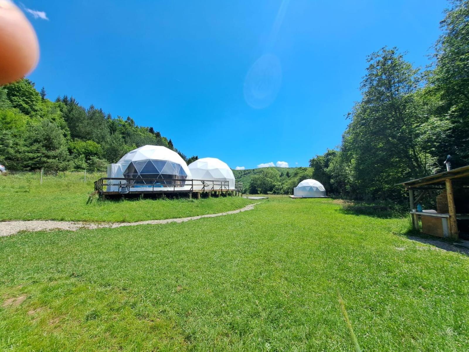 Forest Glamping Brasov Exterior photo