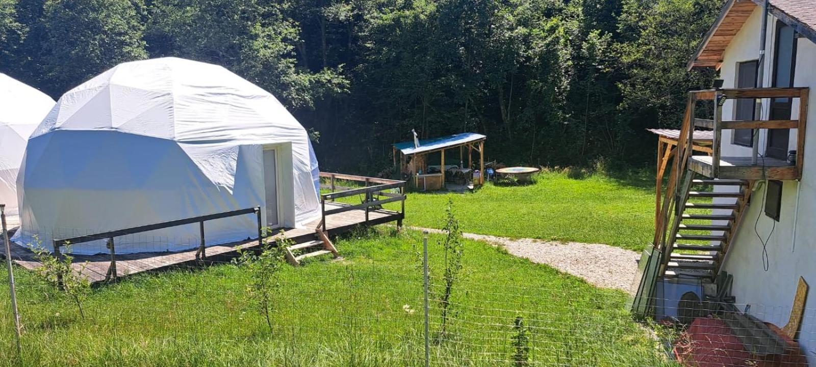 Forest Glamping Brasov Exterior photo