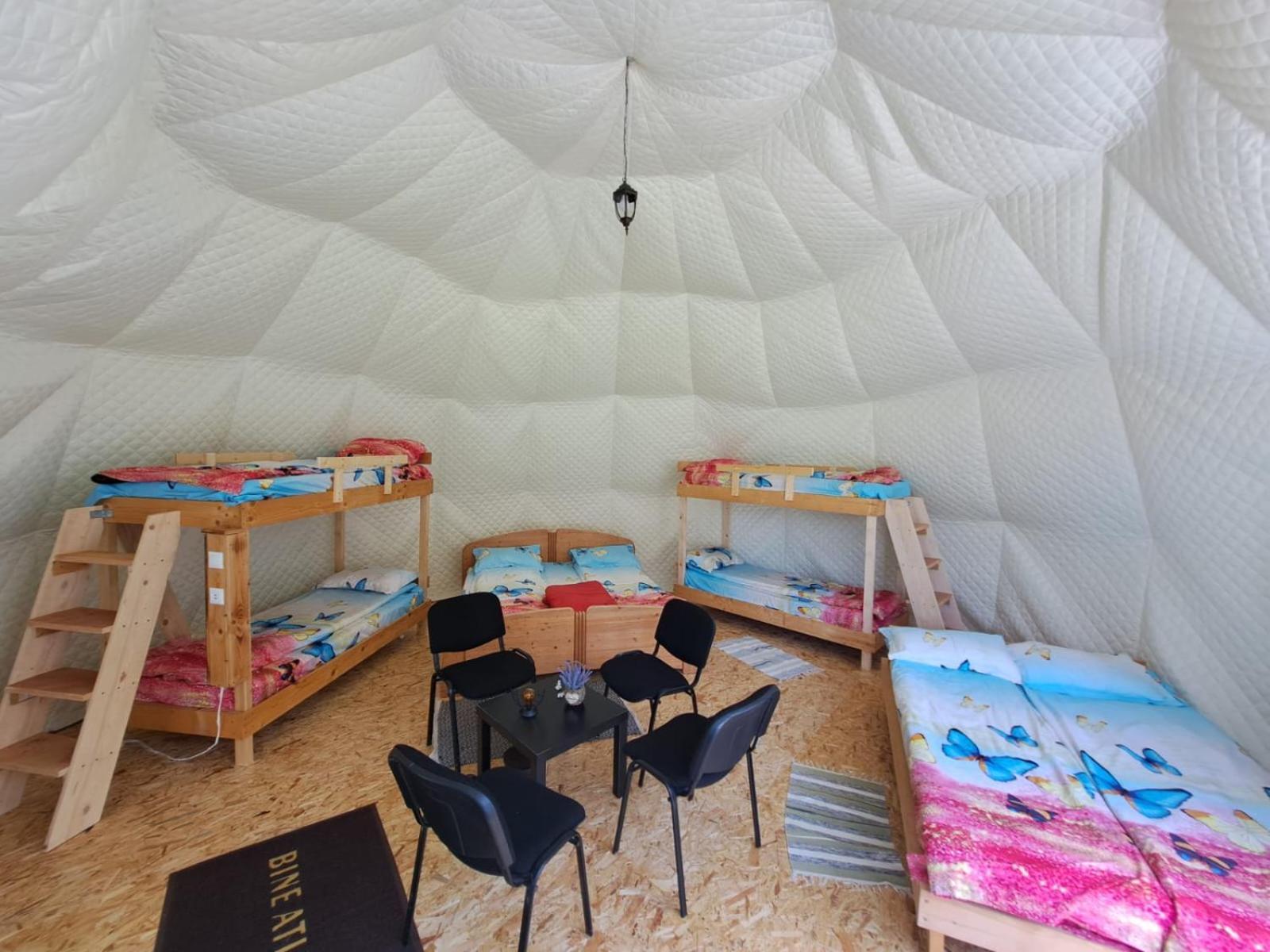 Forest Glamping Brasov Exterior photo