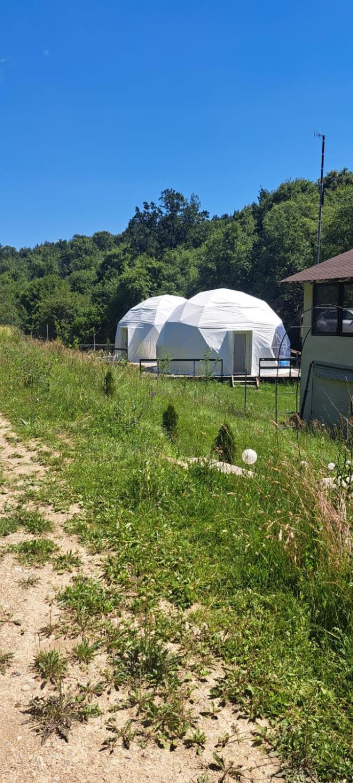 Forest Glamping Brasov Exterior photo